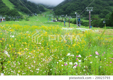 The slopes of the flower garden The slopes of the flower garden 20023793