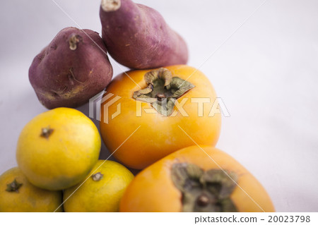 Harvest in autumn, oranges, persimmon, sweet potato # 2 20023798