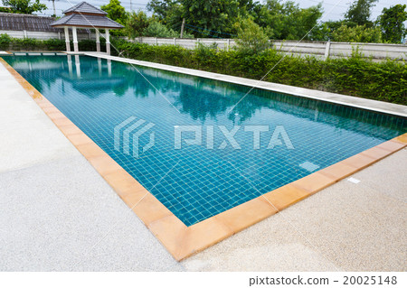 Luxury Swimming pool 20025148