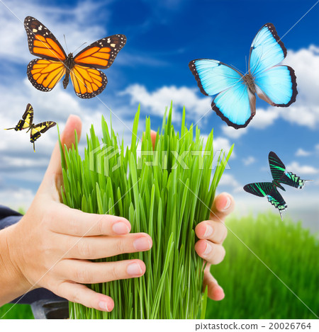 Ecology protection concept 20026764