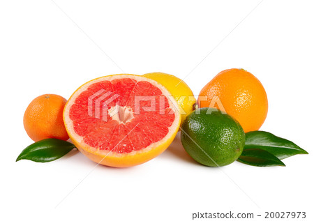 Allsorts from a citrus fruit close-up Allsorts from a citrus fruit close-up 20027973