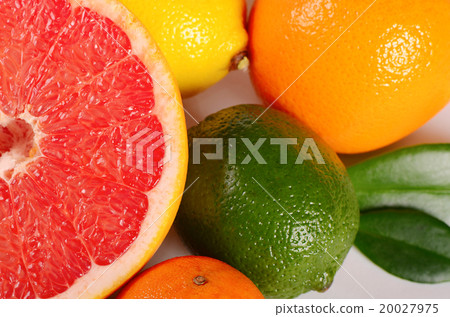 Allsorts from a citrus fruit close-up Allsorts from a citrus fruit close-up 20027975