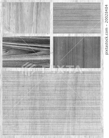 collection of wood background collection of wood background 20028484