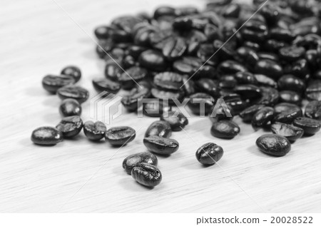 coffee beans 20028522