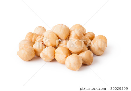 hazelnuts hazelnuts 20029399