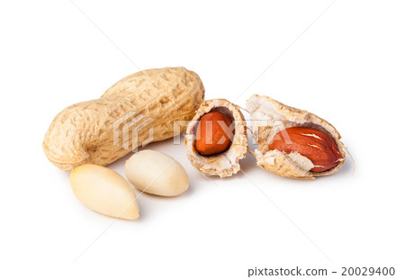 peanuts peanuts 20029400