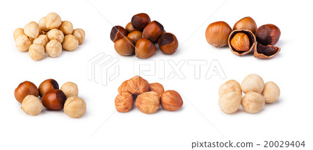 hazelnuts hazelnuts 20029404