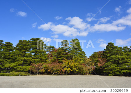 Kyoto gyoen autumn leaves Kyoto gyoen autumn leaves 20029659
