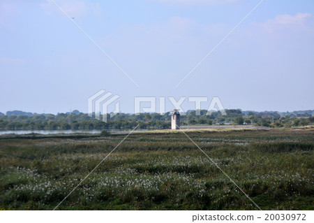 Watarase Setoji 20030972