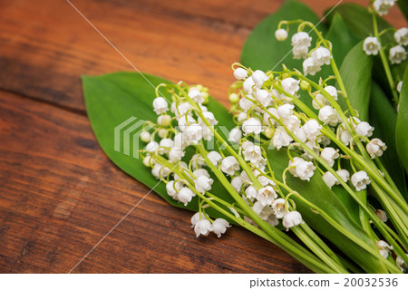 Bouquet of lily of the valley 20032536