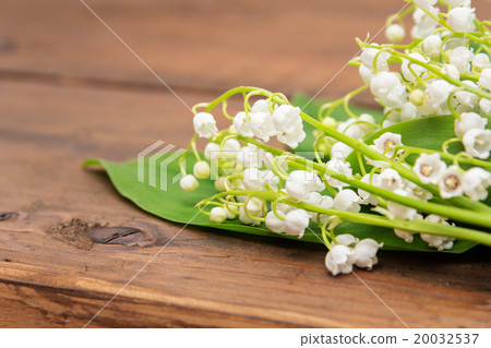 Bouquet of lily of the valley 20032537