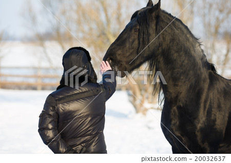 Man with frisian horse Man with frisian horse 20032637