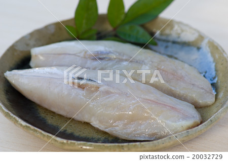 去皮的雪松 20032729