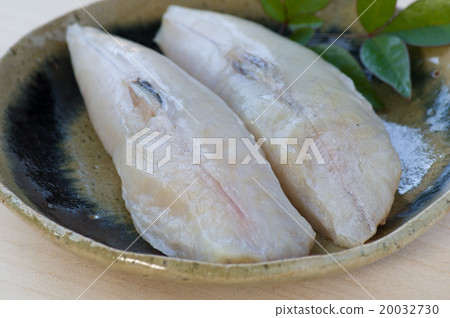 去皮的雪松 20032730