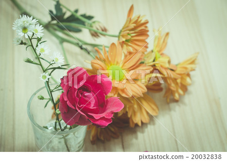 Focus Red Rose, in concept flower backgroud 20032838