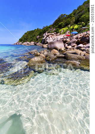 asia   the bay kho tao  isle white  beach    20033981