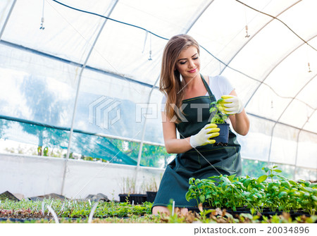Beautiful young woman gardening Beautiful young woman gardening 20034896
