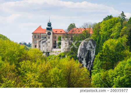 Castle Pieskowa Skala in Ojcow, Poland 20035977