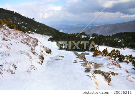 Hala Gasienicowa, High Tatra Mountains Hala Gasienicowa, High Tatra Mountains 20036211