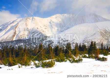 Hala Gasienicowa, winter landscape, High Tatras 20036215