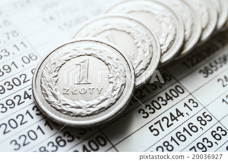 Polish zloty coins, close up 20036927