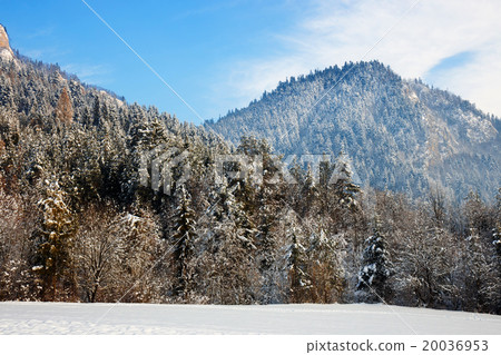 Winter landscape in Pieniny Mountains, Poland 20036953