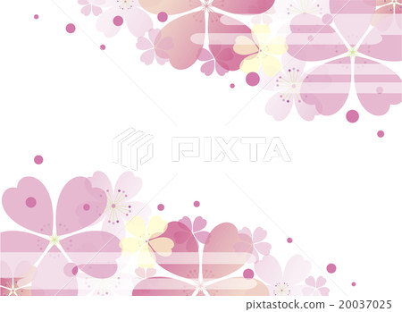 Japanese cherry background Japanese cherry background 20037025