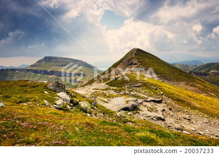 Bucegi mountains, Carpathians,Transylvania,Romania 20037233