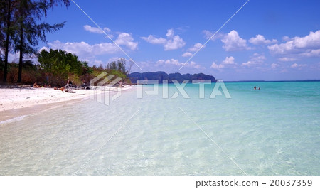 Krabi Krabi 20037359