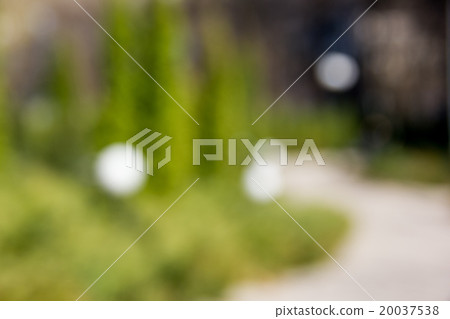 Sunny abstract green nature background, selective Sunny abstract green nature background, selective 20037538