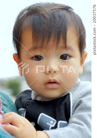Baby portrait (boys) Baby portrait (boys) 20037576