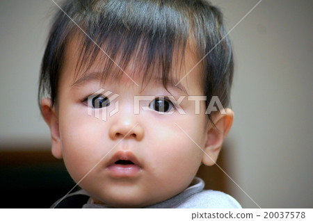 Baby portrait (boys) Baby portrait (boys) 20037578
