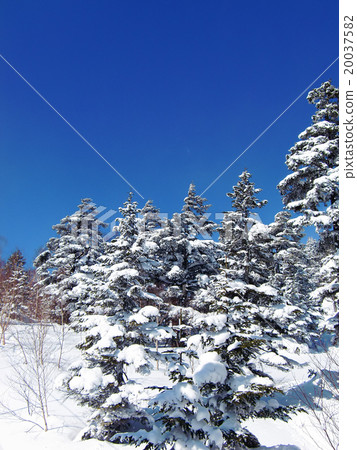A snowy mountain on a sunny day A snowy mountain on a sunny day 20037582