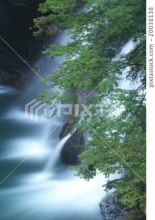 Fresh green and falls 20038138