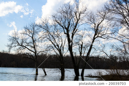 Connecticut River 20039703