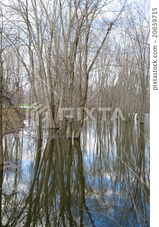 Connecticut River 20039715