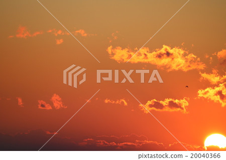 Sunrise Sunrise 20040366