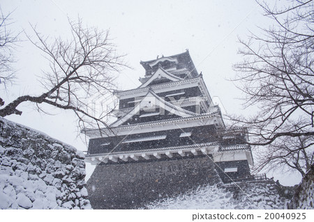 白雪皚皚的熊本城 白雪皚皚的熊本城 20040925