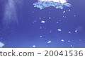 foam 20041536