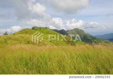 Yellow grassland on mountains in autumn Yellow grassland on mountains in autumn 20042335