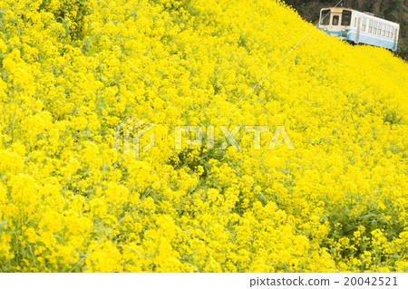 JR四國新幹線Ai Ichinoseki線鬆散Ise Nada Nada - Shimonada JR四國新幹線Ai Ichinoseki線鬆散Ise Nada Nada - Shimonada 20042521