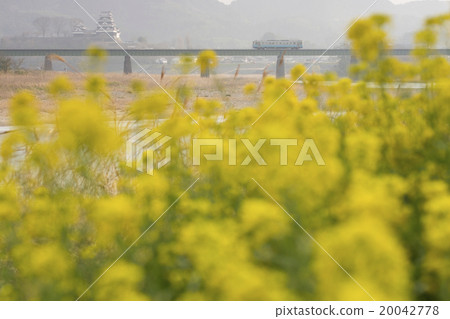 JR四國觀光火車Iyinada貼紙大津橋 JR四國觀光火車Iyinada貼紙大津橋 20042778