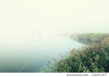 Fog 20043147
