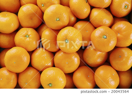 Mandarin orange  20043564
