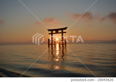 鳥居和神奇的光芒 20043626