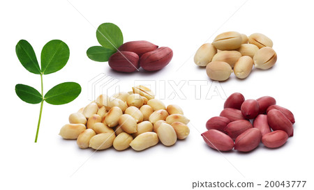 Set of peanuts 20043777