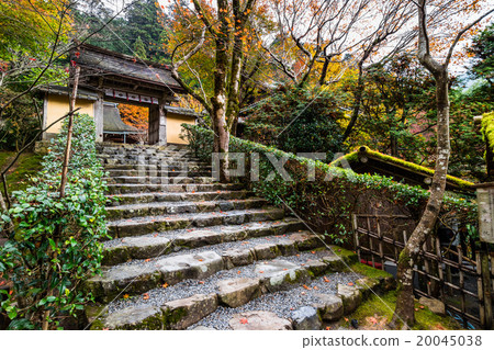 京都Rikoin 20045038