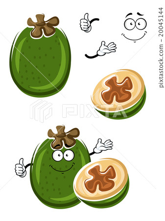 Cartoon tropical feijoa or pineapple guava fruit 20045144
