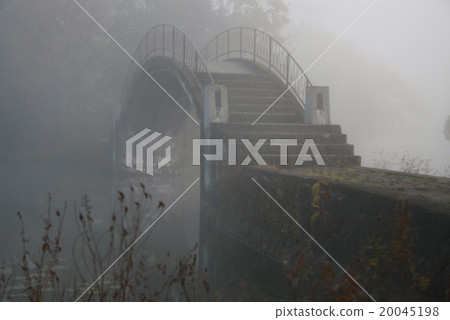 Morning mist of Onuma Park 20045198