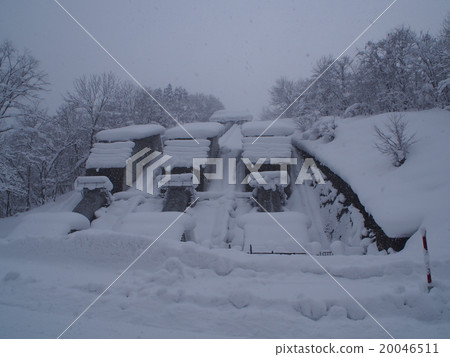 雪電廠 雪電廠 20046511